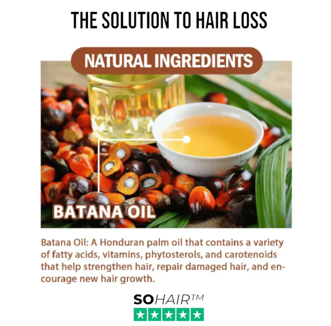 SOHair™ Batana Hair Oil 🌱